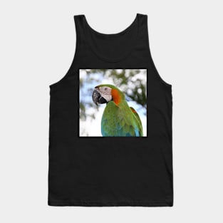 Harlequin Macaw Portrait Tank Top